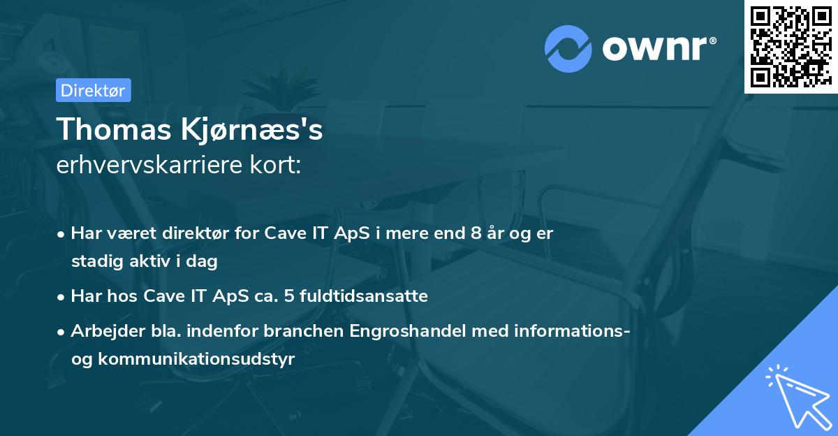 Thomas Kjørnæs's erhvervskarriere kort