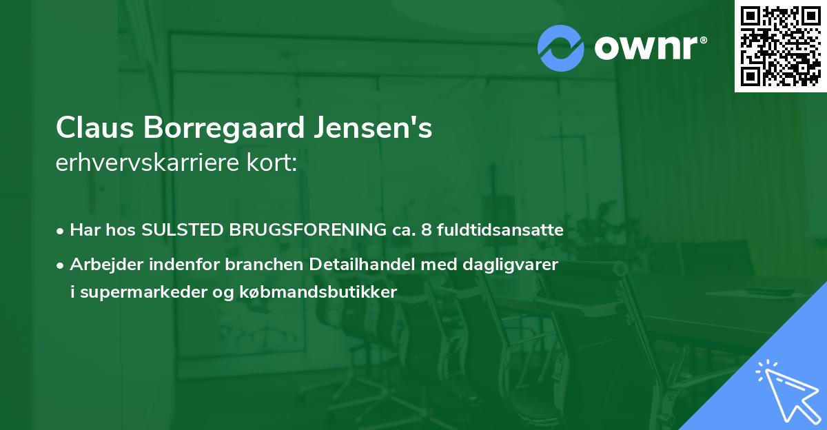 Claus Borregaard Jensen's erhvervskarriere kort