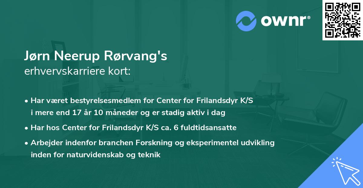 Jørn Neerup Rørvang's erhvervskarriere kort
