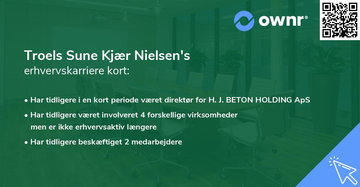 Troels Sune Kjær Nielsen's erhvervskarriere kort
