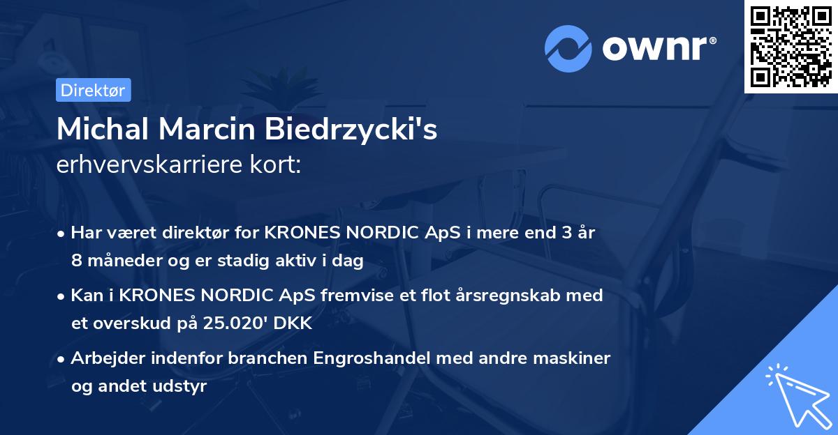 Michal Marcin Biedrzycki's erhvervskarriere kort