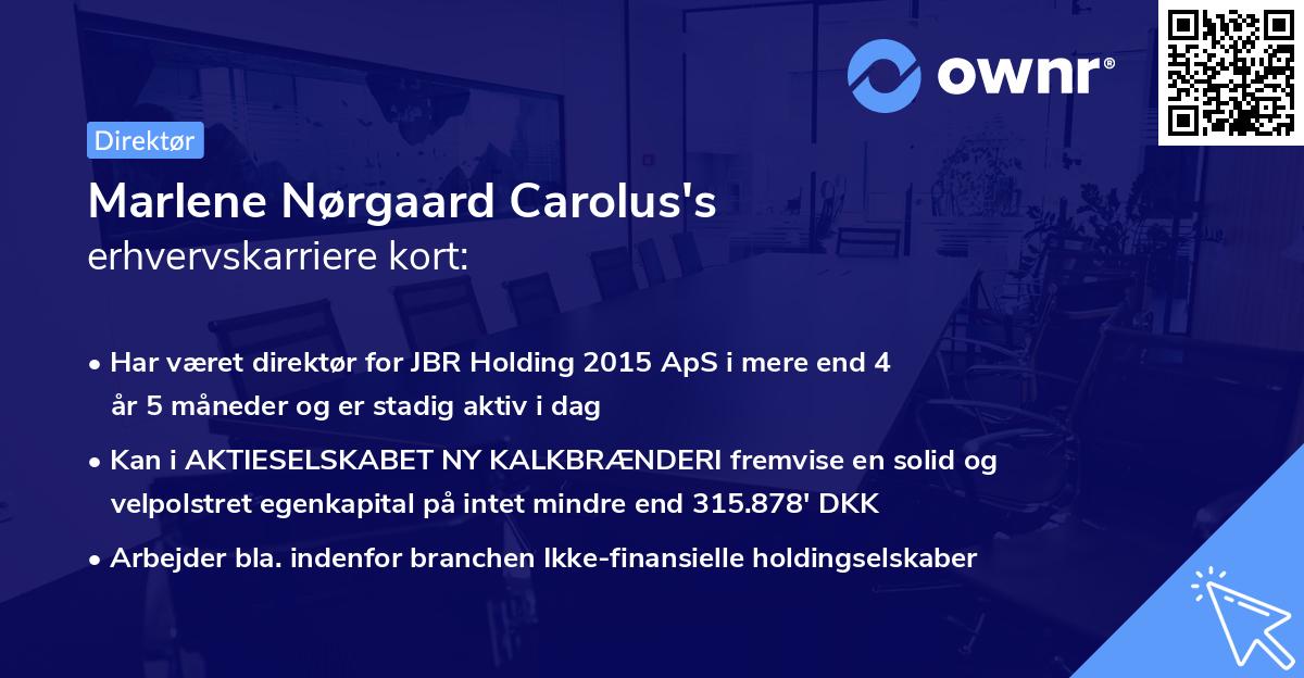 Marlene Nørgaard Carolus's erhvervskarriere kort