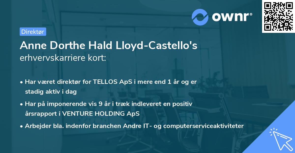 Anne Dorthe Hald Lloyd-Castello's erhvervskarriere kort