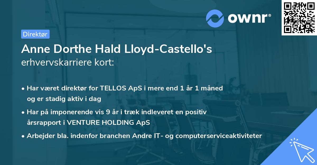 Anne Dorthe Hald Lloyd-Castello's erhvervskarriere kort