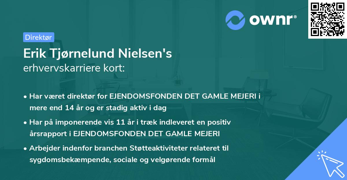 Erik Tjørnelund Nielsen's erhvervskarriere kort