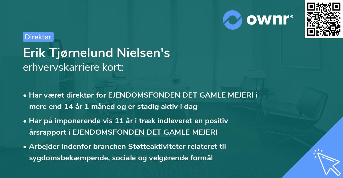 Erik Tjørnelund Nielsen's erhvervskarriere kort