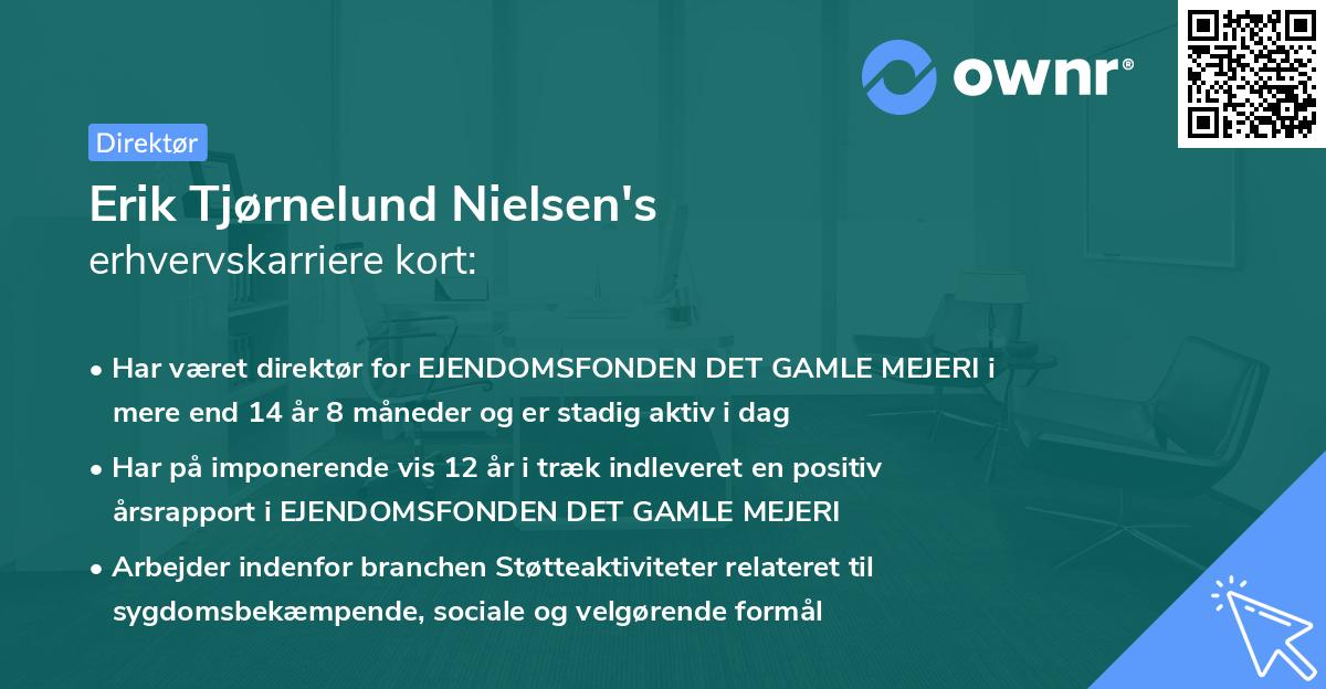 Erik Tjørnelund Nielsen's erhvervskarriere kort