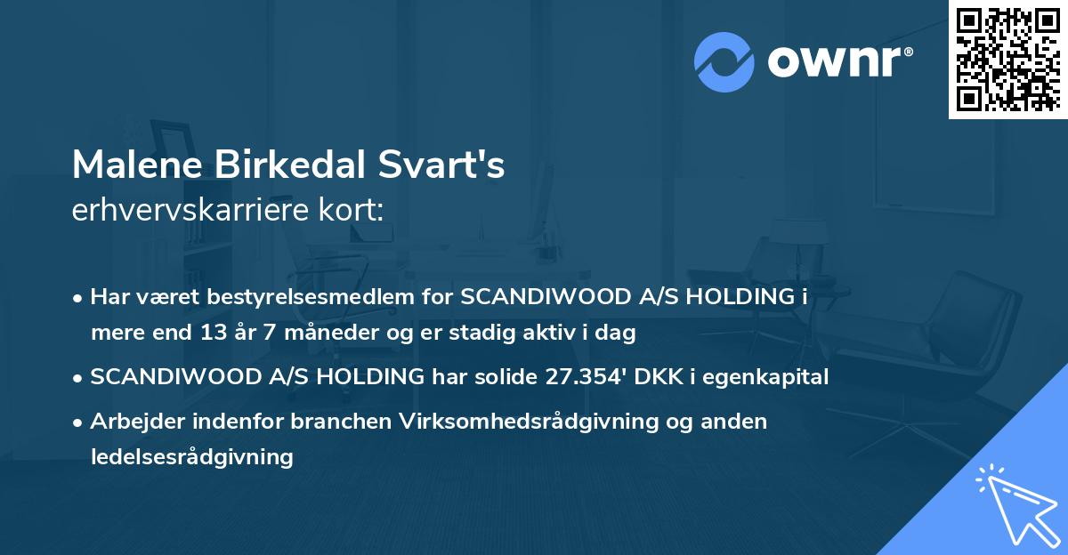 Malene Birkedal Svart's erhvervskarriere kort
