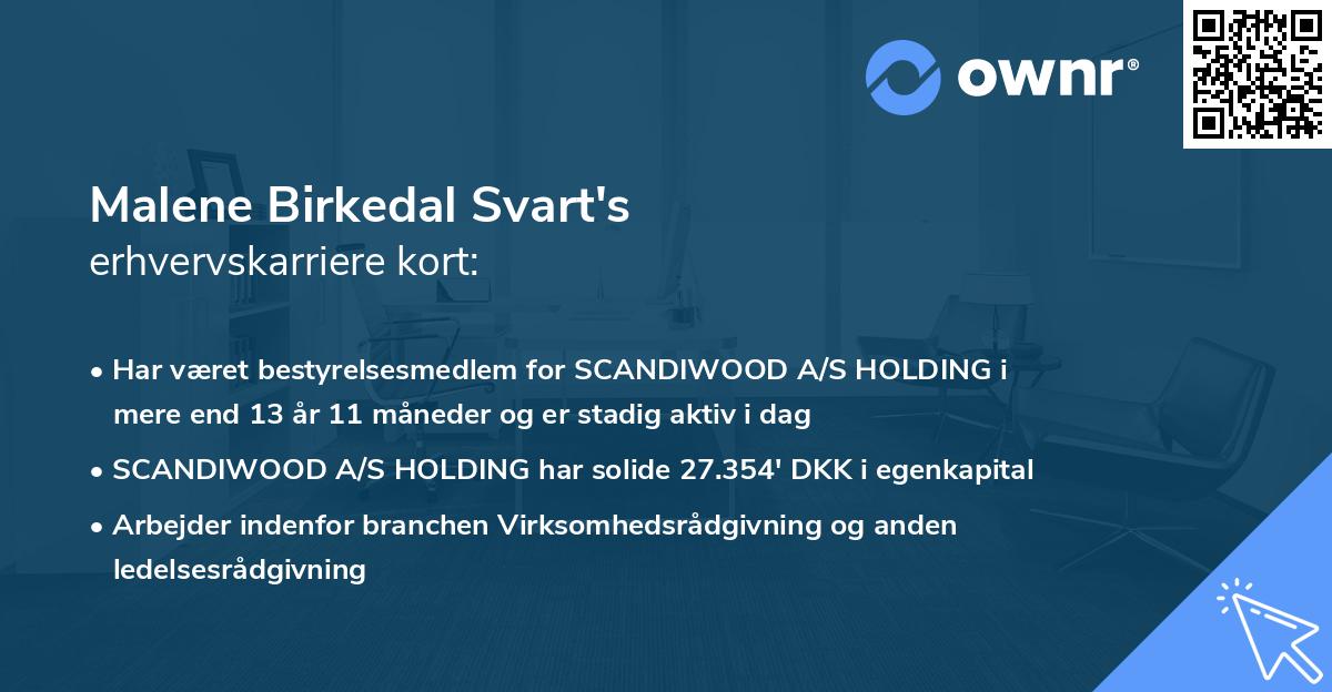 Malene Birkedal Svart's erhvervskarriere kort