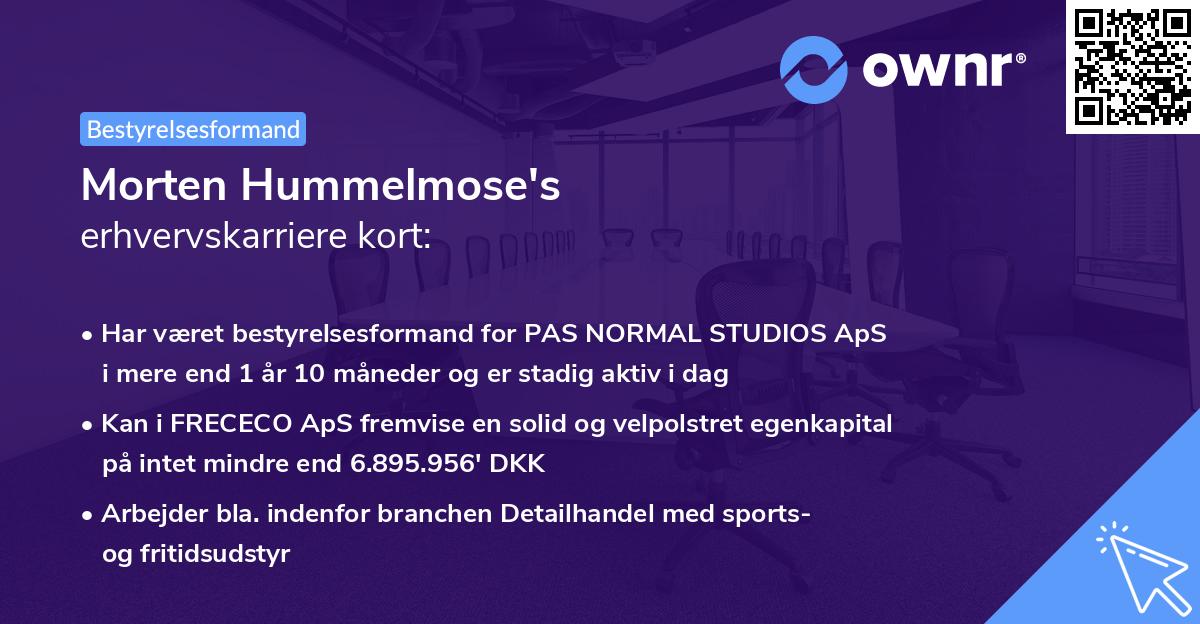 Morten Hummelmose's erhvervskarriere kort