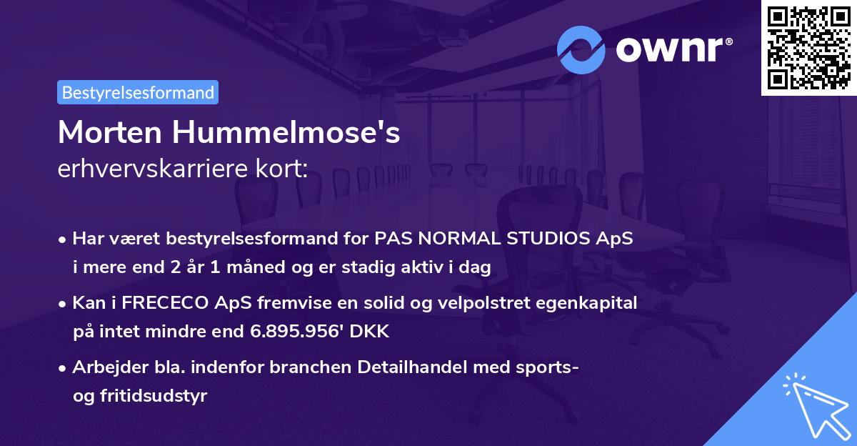 Morten Hummelmose's erhvervskarriere kort