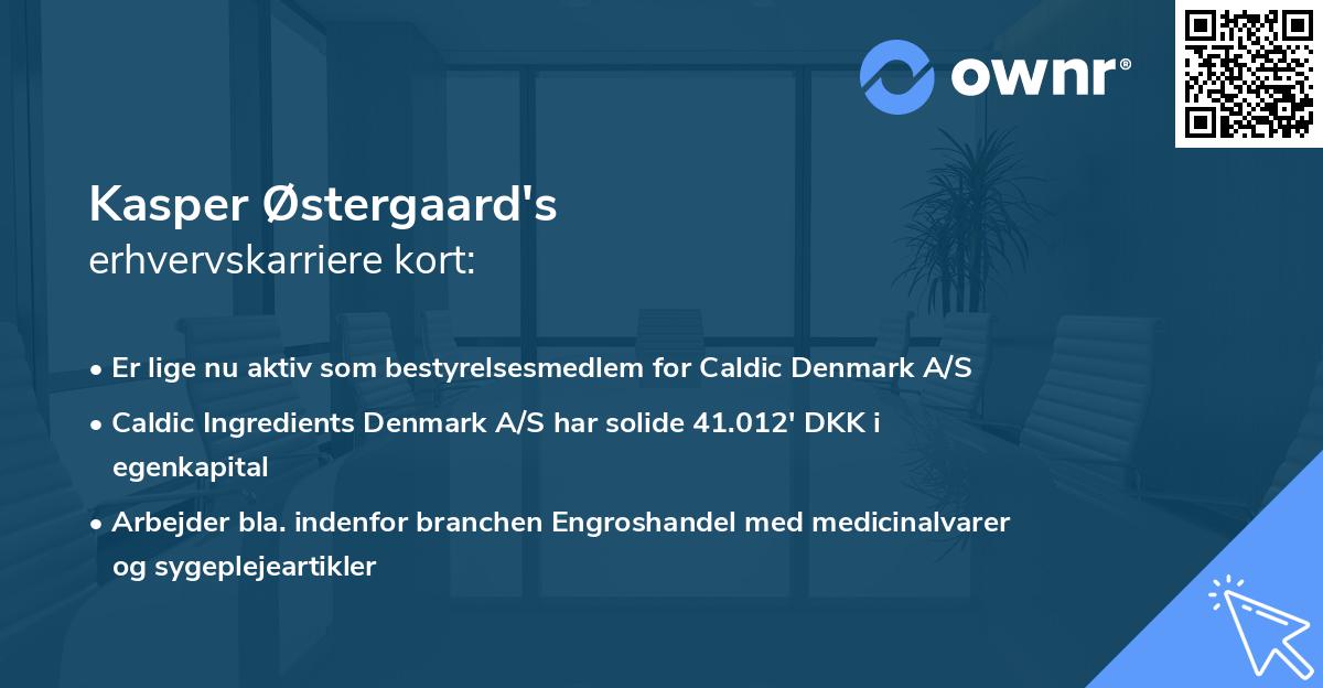 Kasper Østergaard's erhvervskarriere kort