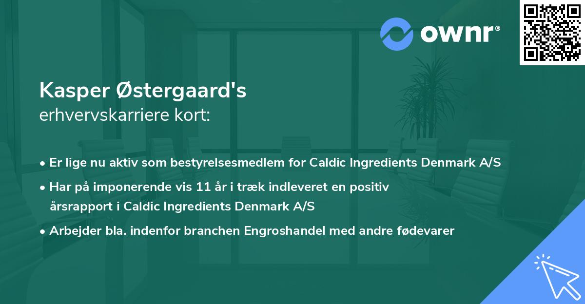 Kasper Østergaard's erhvervskarriere kort
