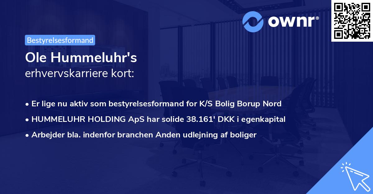 Ole Hummeluhr's erhvervskarriere kort