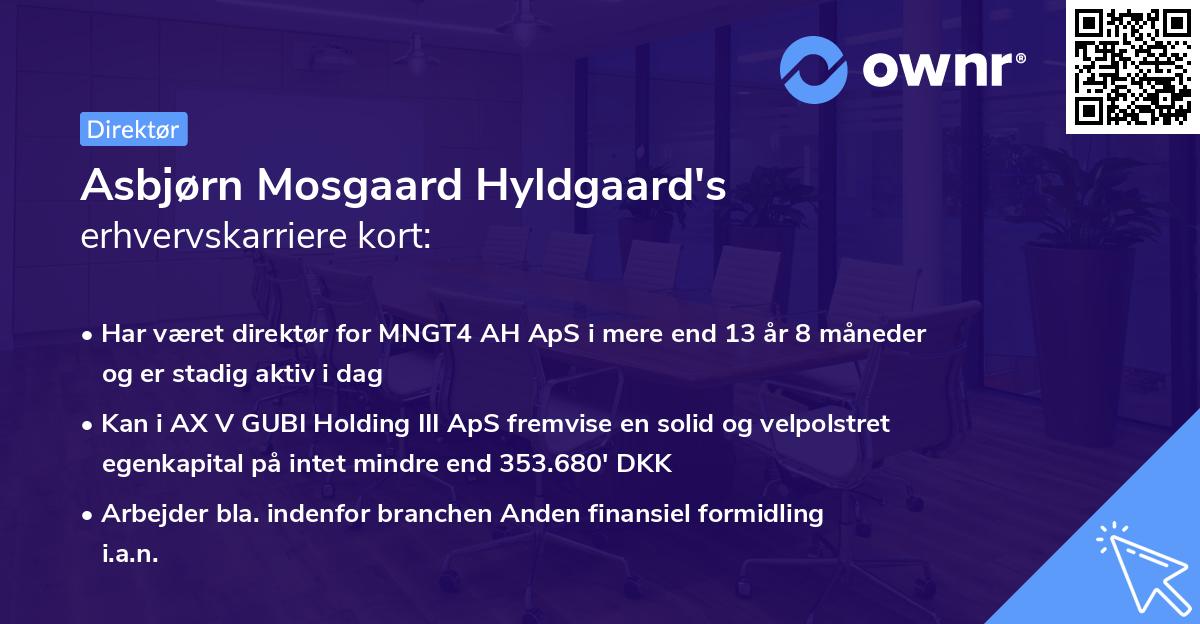 Asbjørn Mosgaard Hyldgaard's erhvervskarriere kort