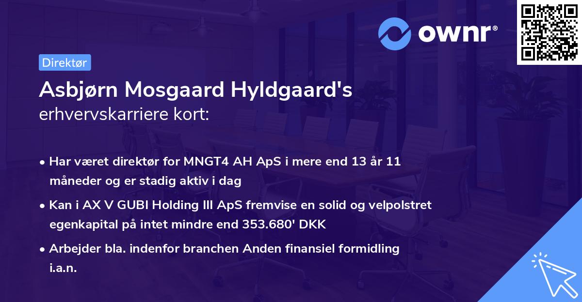Asbjørn Mosgaard Hyldgaard's erhvervskarriere kort