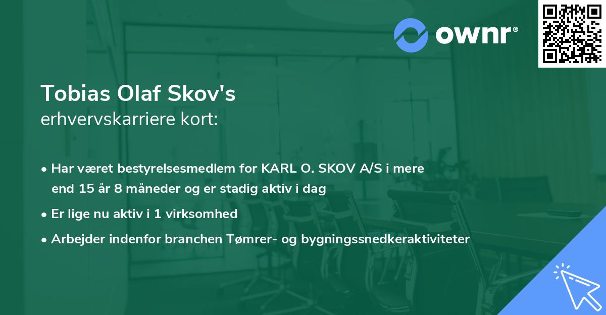 Tobias Olaf Skov's erhvervskarriere kort