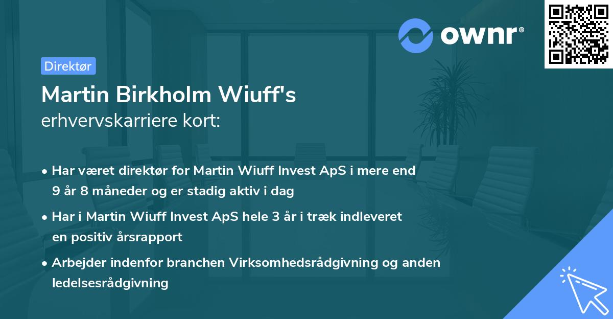 Martin Birkholm Wiuff's erhvervskarriere kort