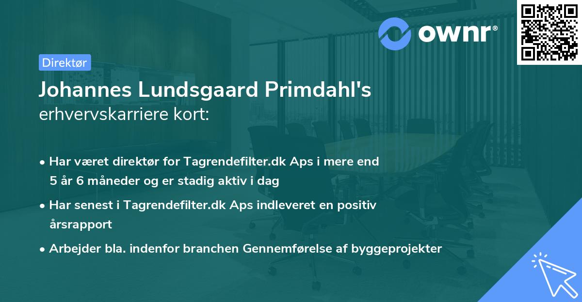 Johannes Lundsgaard Primdahl's erhvervskarriere kort