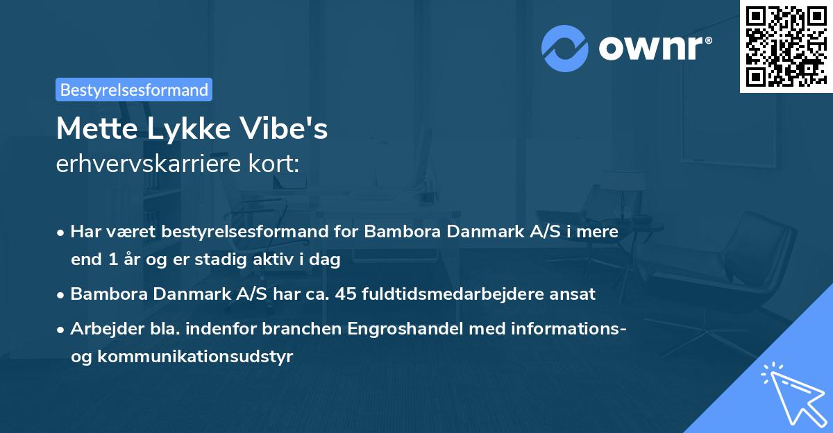 Mette Lykke Vibe's erhvervskarriere kort