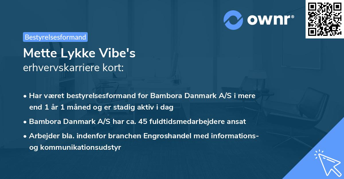 Mette Lykke Vibe's erhvervskarriere kort
