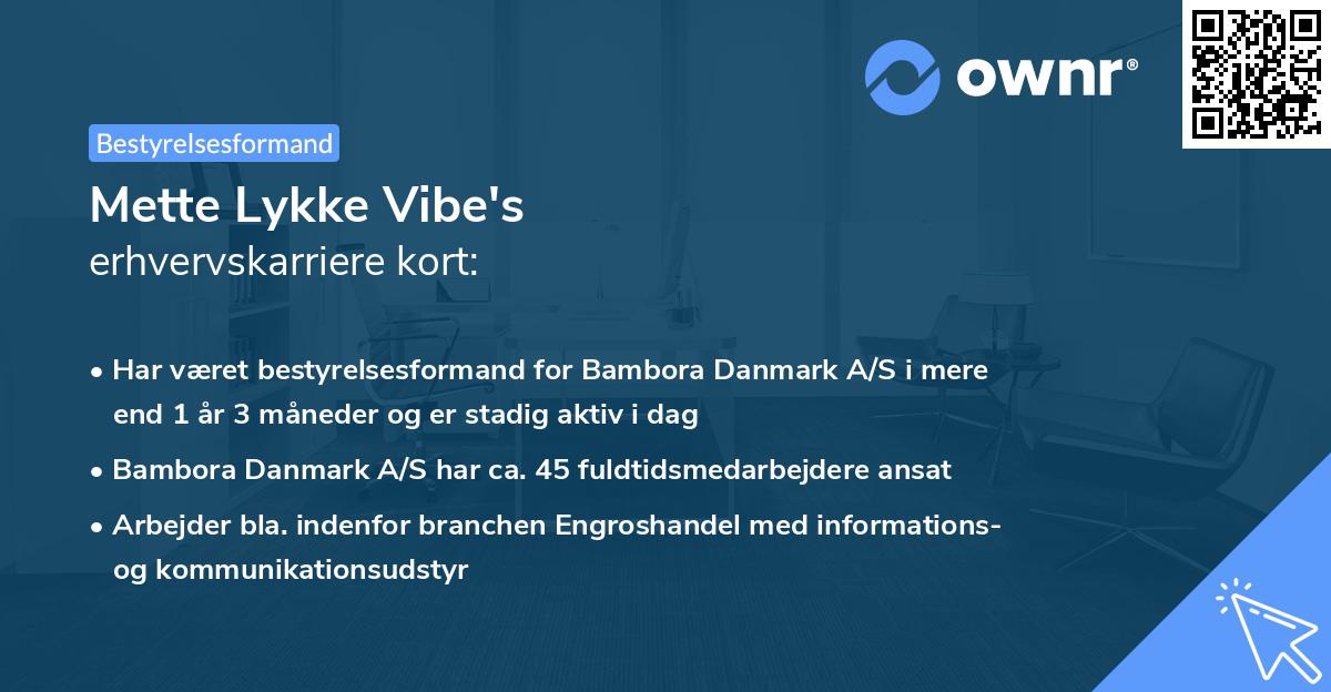 Mette Lykke Vibe's erhvervskarriere kort
