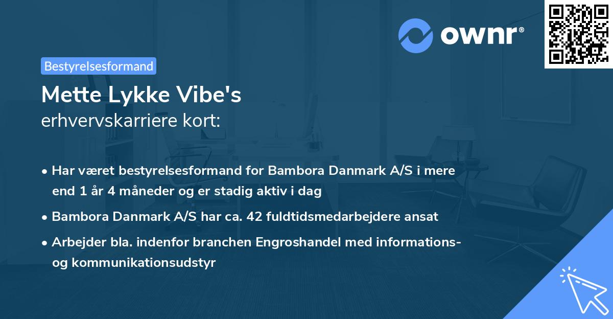 Mette Lykke Vibe's erhvervskarriere kort