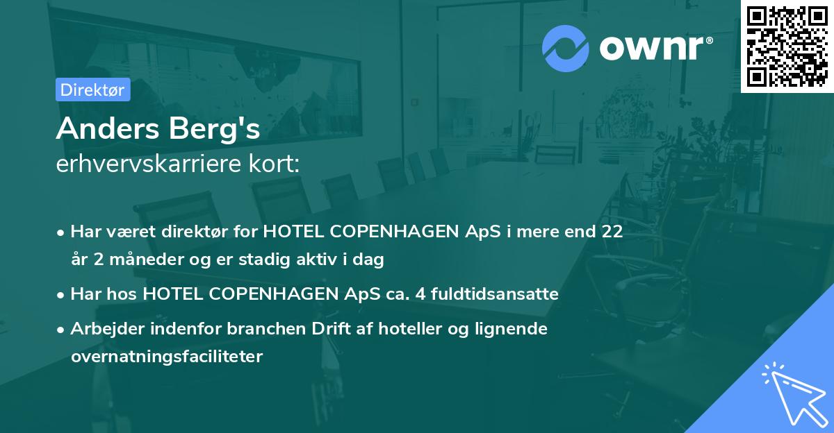 Anders Berg's erhvervskarriere kort