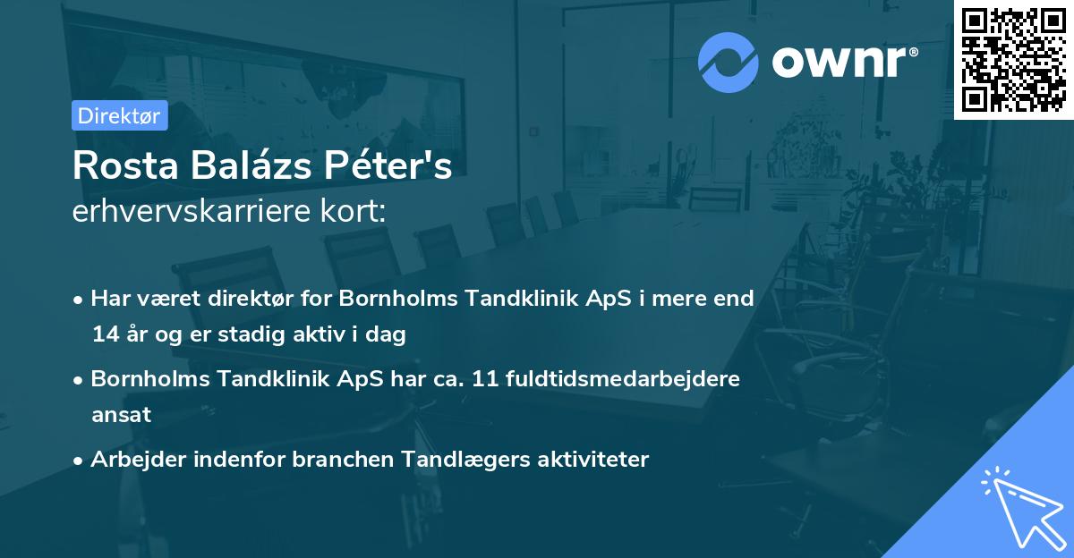 Rosta Balázs Péter's erhvervskarriere kort