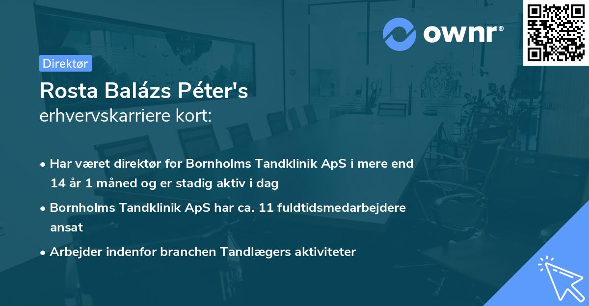 Rosta Balázs Péter's erhvervskarriere kort