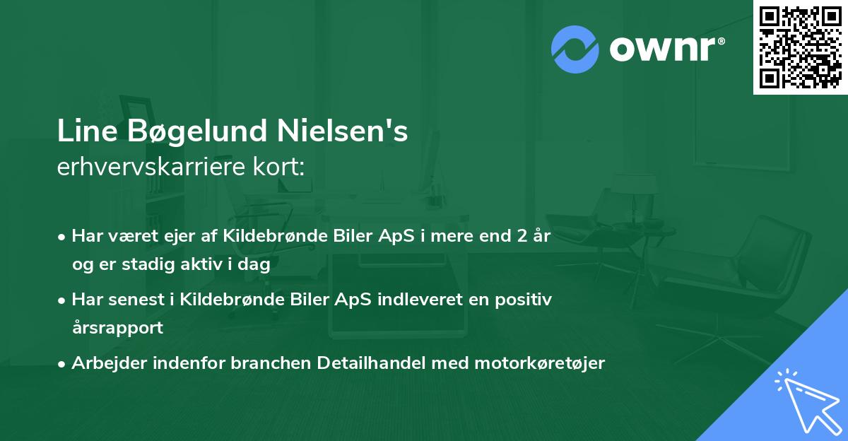 Line Bøgelund Nielsen's erhvervskarriere kort