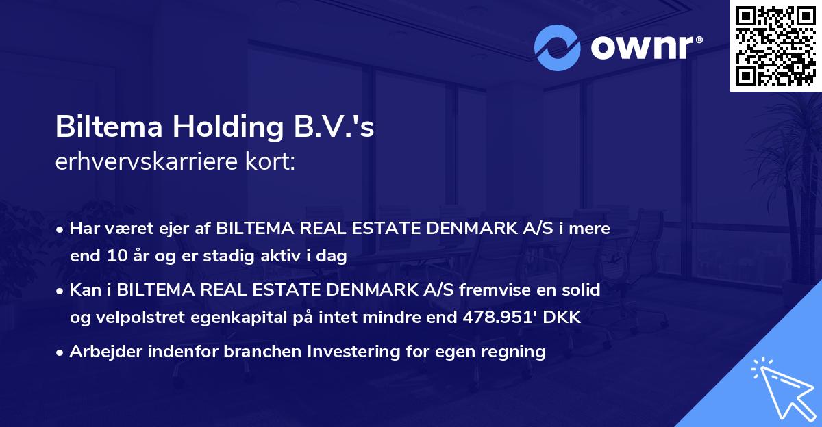 Biltema Holding B.V.'s erhvervskarriere kort