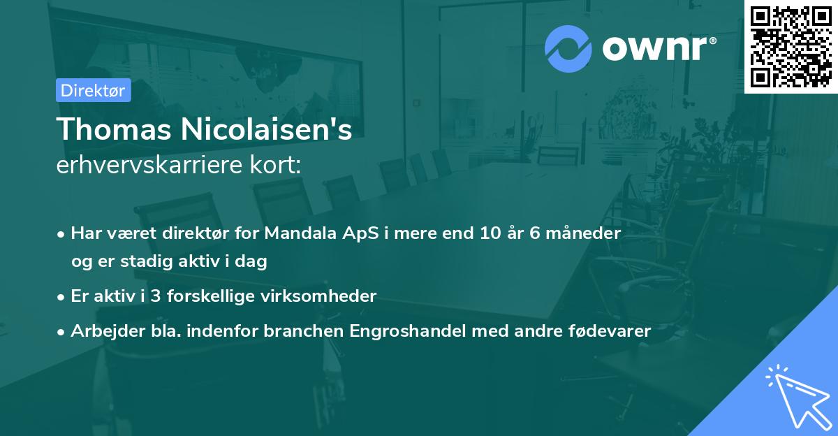 Thomas Nicolaisen's erhvervskarriere kort