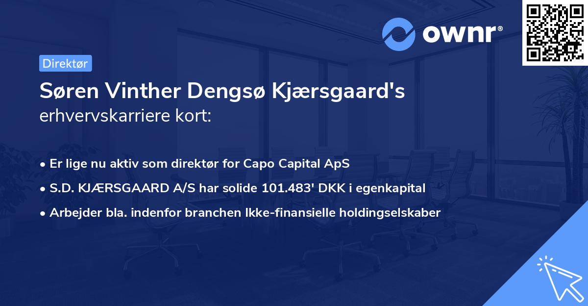 Søren Vinther Dengsø Kjærsgaard's erhvervskarriere kort