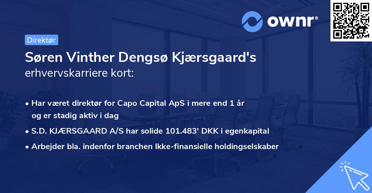 Søren Vinther Dengsø Kjærsgaard's erhvervskarriere kort