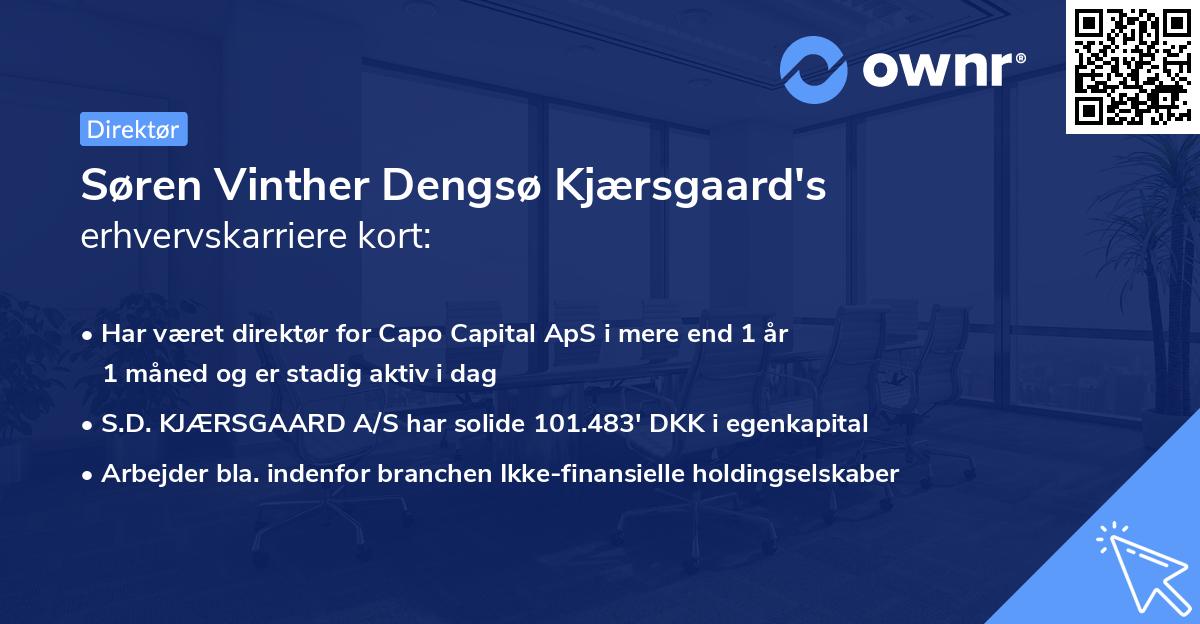 Søren Vinther Dengsø Kjærsgaard's erhvervskarriere kort