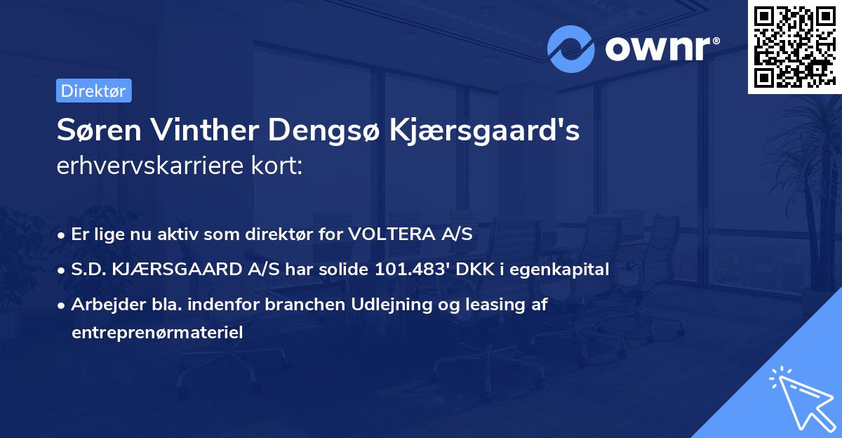 Søren Vinther Dengsø Kjærsgaard's erhvervskarriere kort