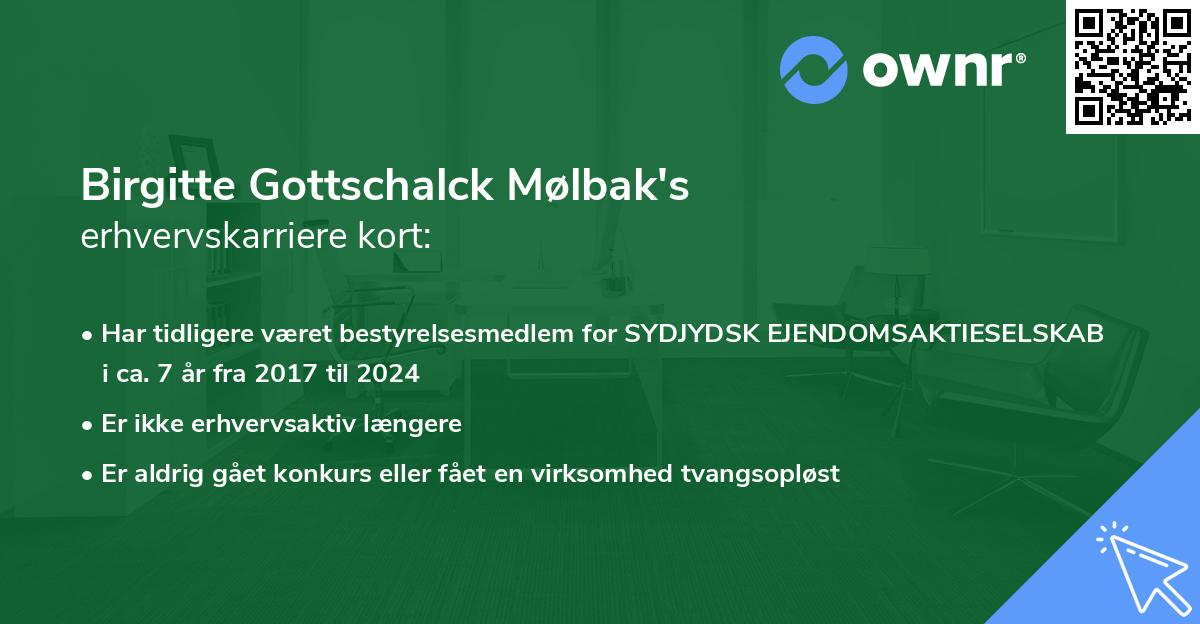 Birgitte Gottschalck Mølbak's erhvervskarriere kort