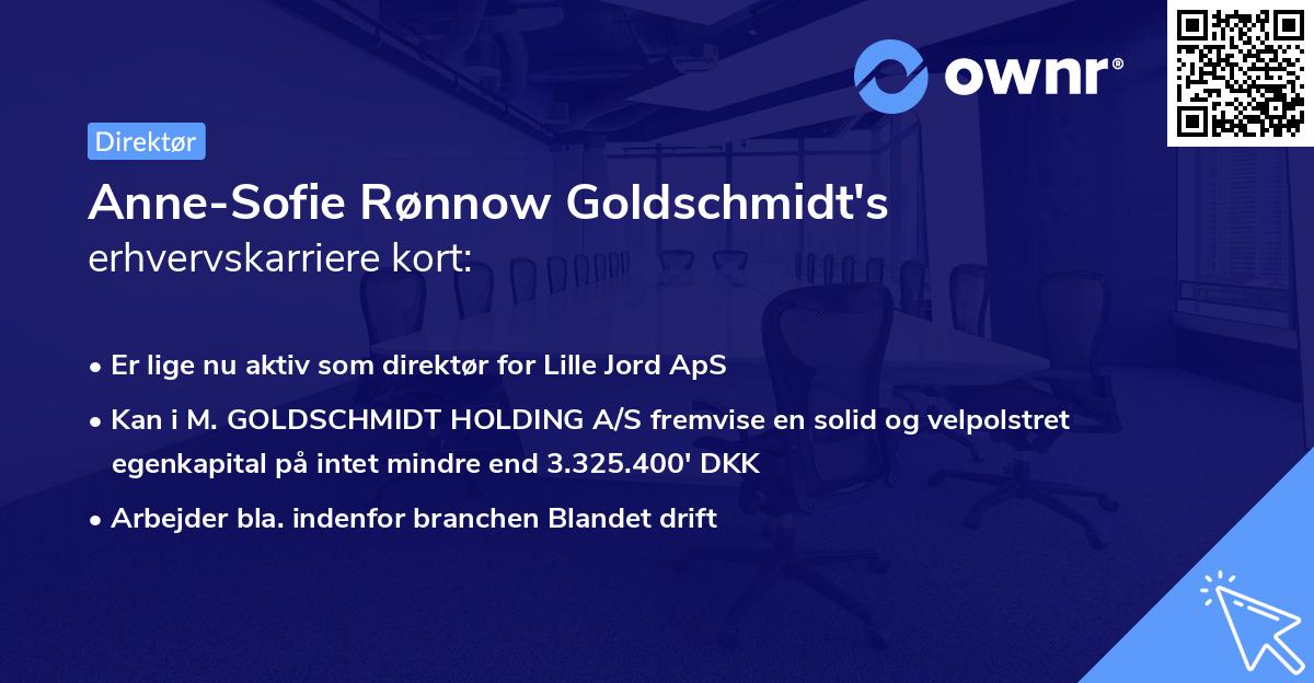 Anne-Sofie Rønnow Goldschmidt's erhvervskarriere kort