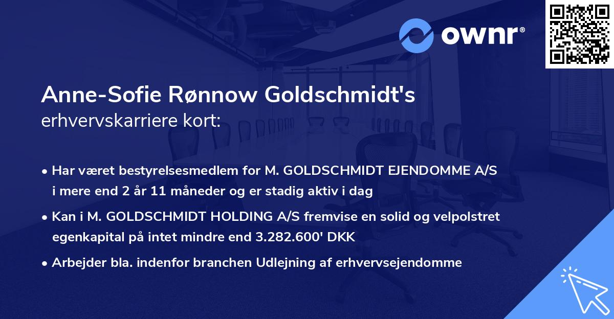 Anne-Sofie Rønnow Goldschmidt's erhvervskarriere kort