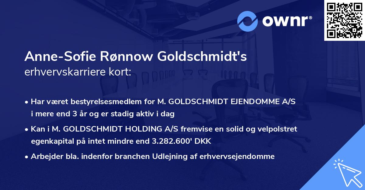 Anne-Sofie Rønnow Goldschmidt's erhvervskarriere kort