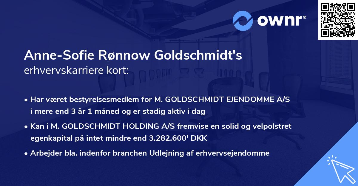 Anne-Sofie Rønnow Goldschmidt's erhvervskarriere kort