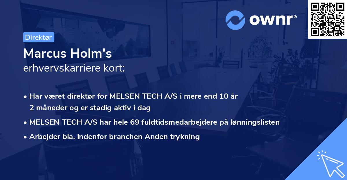 Marcus Holm's erhvervskarriere kort