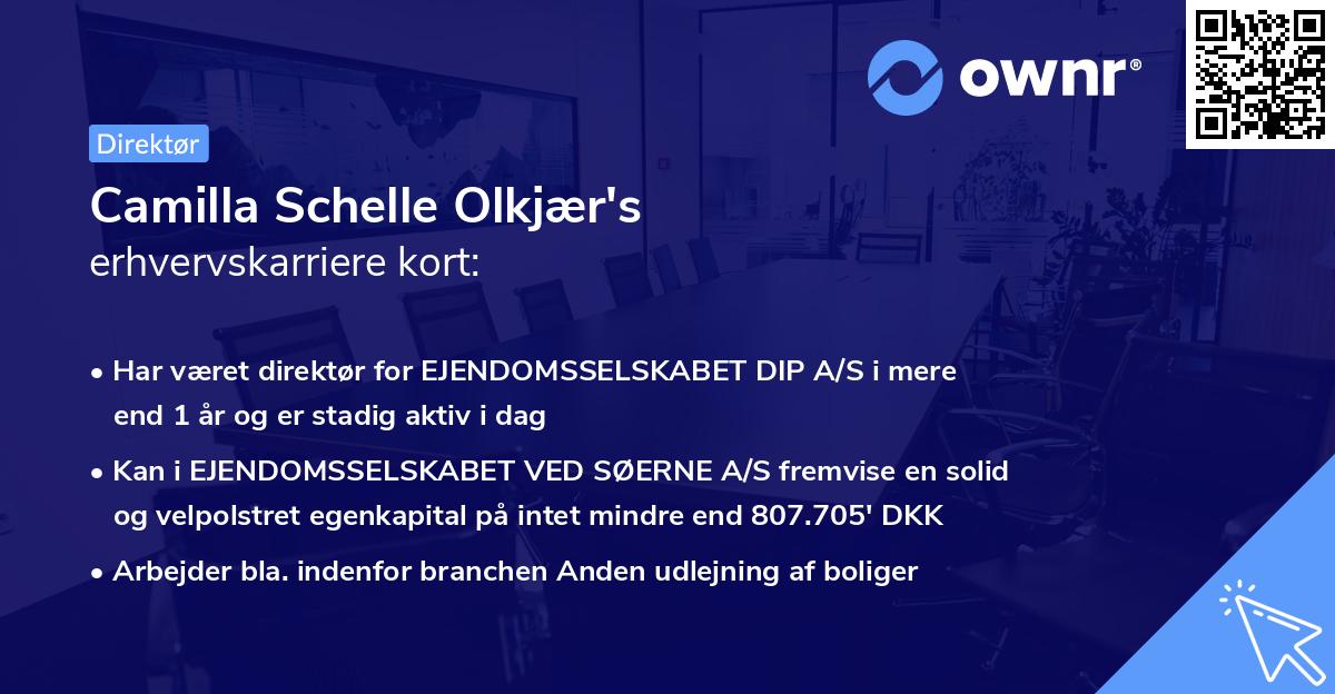 Camilla Schelle Olkjær's erhvervskarriere kort