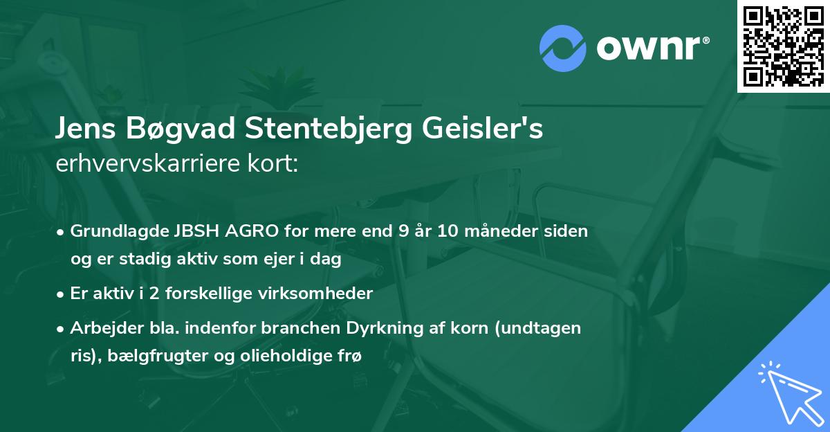 Jens Bøgvad Stentebjerg Geisler's erhvervskarriere kort