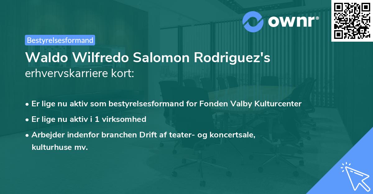 Waldo Wilfredo Salomon Rodriguez's erhvervskarriere kort