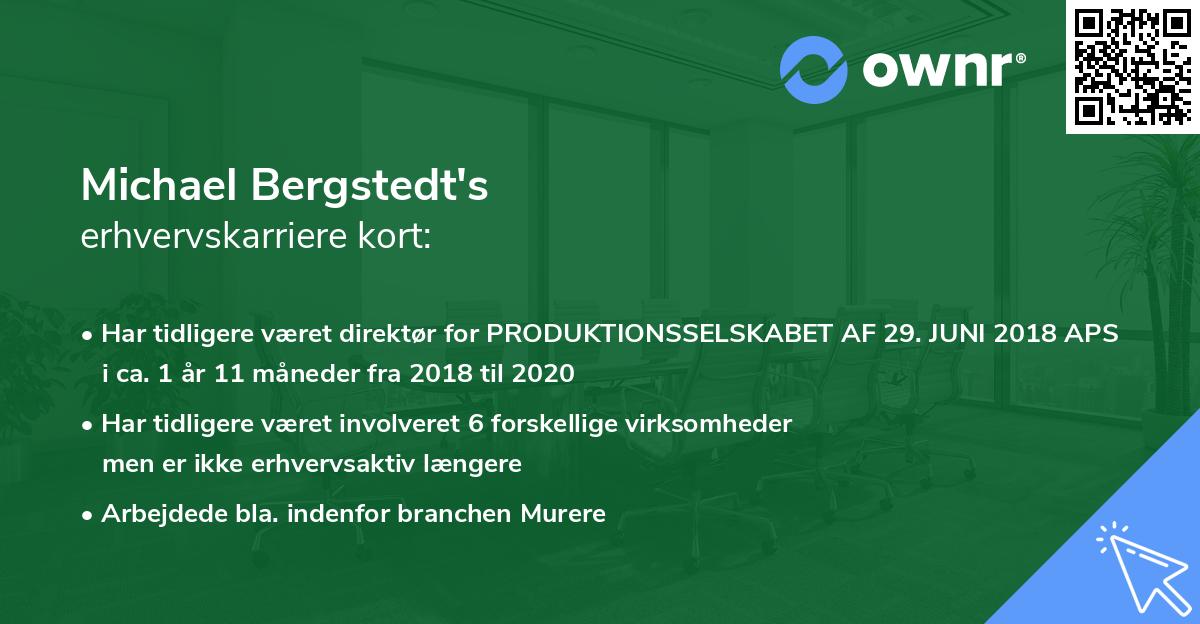 Michael Bergstedt's erhvervskarriere kort