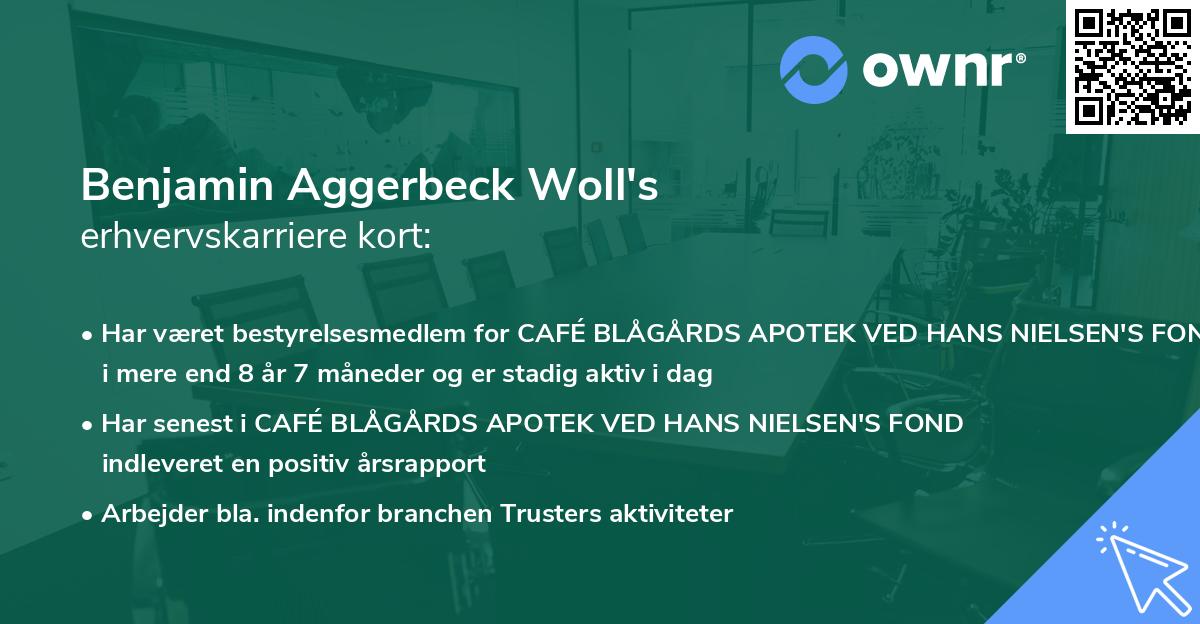 Benjamin Aggerbeck Woll's erhvervskarriere kort