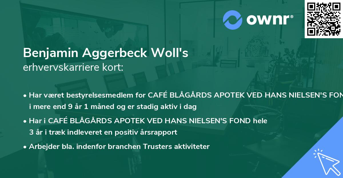 Benjamin Aggerbeck Woll's erhvervskarriere kort