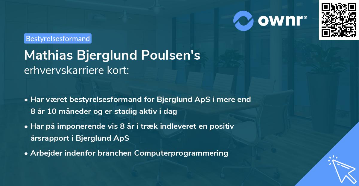 Mathias Bjerglund Poulsen's erhvervskarriere kort